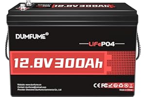 Dumfume 12V 300Ah LiFePO4 Battery,200A BMS 3840Wh Lithium Iron Phosphate Battery 15000+ Cycles,Low-Temp Protection Ideal for RV,Solar,Off-Grid Systems,Home Storage