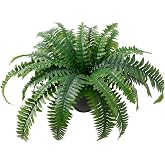 Apeair Artificial Boston Fern in Pot, 17.7 in Faux Plant with 25 Lifelike Leaves, Small Fake Greenery for Indoor Home, Office, Patio and Farmhouse Decor