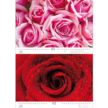 Magiques Roses 42 Cm X 297 Cm Premium Calendar 2019
