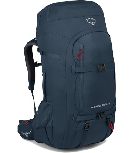 Osprey Aether Plus 70L Men's Backpacking Backpack, Axo Green, S/M : Sports & Outdoors