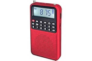 Portable Radio Bluetooth Speaker - FM/AM Radio, TF Card Player & Voice Recorder