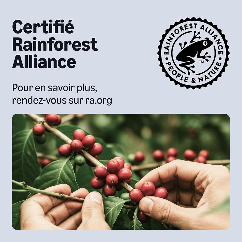 Capsules de café en aluminium Ristretto compatibles avec Nespresso, torréfaction moyennement poussée, 100 Pièces, 5 lot de 20 - Certifié Rainforest Alliance