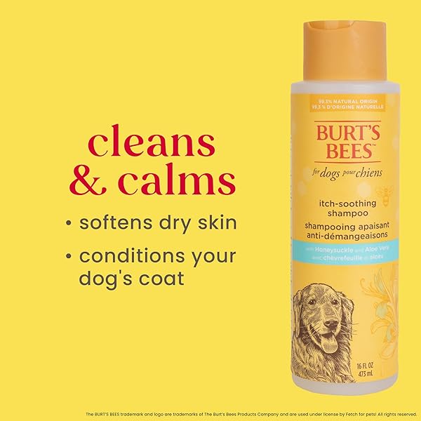 BURT’S BEES FOR PETS ITCH SOOTHING SHAMPOO WITH HONEYSUCKLE, 95% NATURAL ORIGIN FORMULAS, DOG SHAMPOO FOR ITCHY DOGS, DOG SHAMPOO ITCHY SKIN RELIEF, 16 OZ