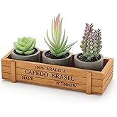 DomeStar 3PCS Succulents Plants Artificial, Small Fake Plants with Wooden Box for Aesthetic Living Room Shelf Bathroom Coffee Bar Decor Office Desk Farmhouse Coffee Table Accessories