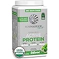 Sunwarrior Organic Plant Based Protein Powder | Vegan Organic Protein Powder with BCAA Amino Acids Plus Recovery Minerals & Botanicals | Non-GMO Soy Dairy & Gluten Free (Unflavored, 20 Servings)
