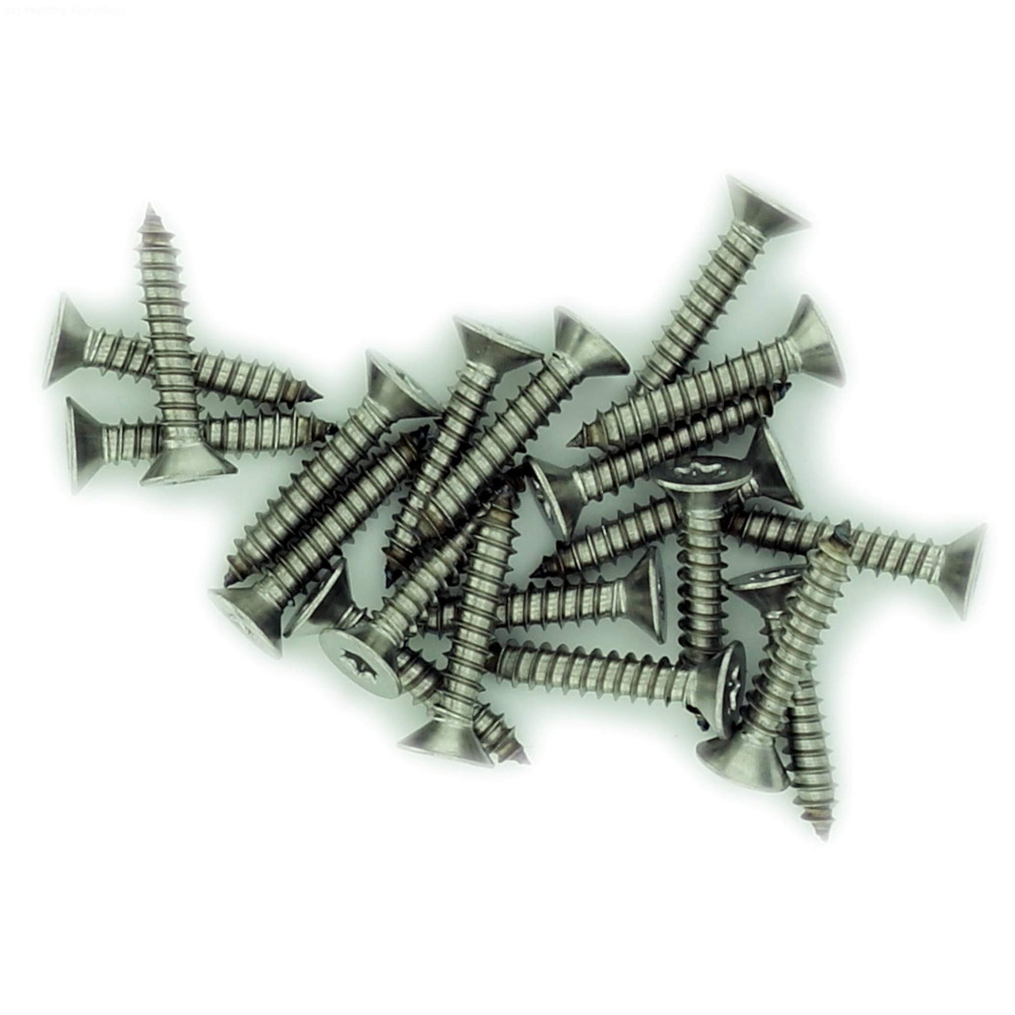 No.6 x 0.75 (3.5mm x 19mm) TX Countersunk Self-Tapping Screw - Stainless Steel (A2) (Pack of 20)