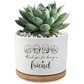 AKAQCHANG Golden Girls Merchandise,Thank You for Being A Friend,Succulent Flower Cactus Plant Pot with Drainage,Friendship Gifts for Friends Bestie Sister,Friend Gifts for Women(Plant Not Included)