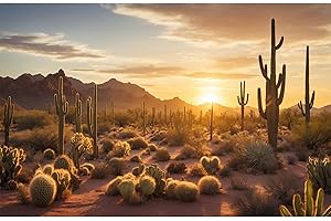 OHIOCATII Sunset Desert Reptile Habitat Background Silhouette of Saguaro Cactus Arid Mountain Range Terrarium Background Cacti Sand with Dunes Aquarium Background Desert Mountain Fish Tank Background 24x12in