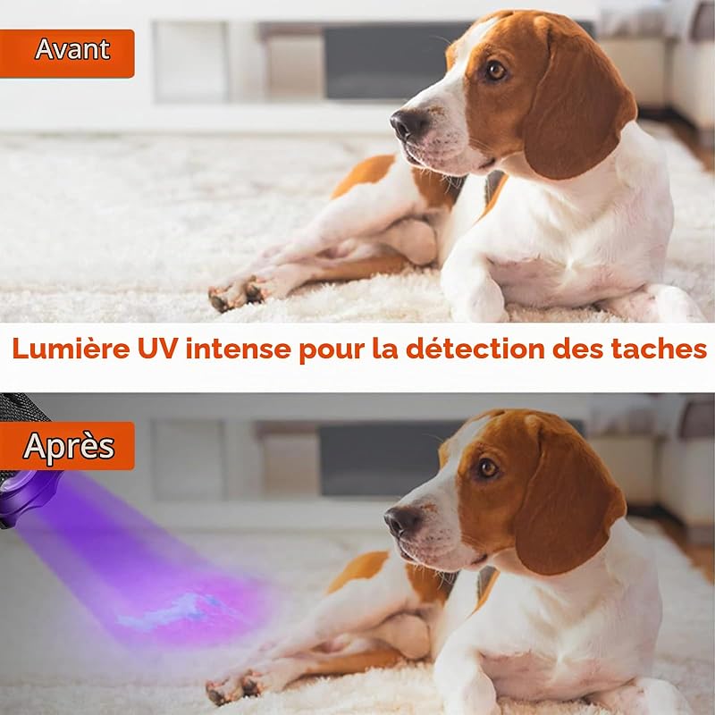 Lampe Torche 2 EN 1, Torche UV 395nm & 500LM LED Puissante, 4 Modes & Zoomable Lampe de Wood Ultraviolet, Détecteur d'Urine, 1pcs