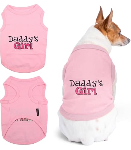 Amazon Big Sister Little Sister Dog Shirts Bluey Bingo Sisters T