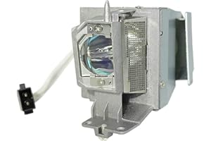 Rembam NP40LP Original Bulb Projector Lamp with Housing for NEC NP-VE303,OEM Bulb Inside