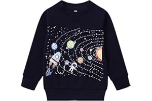 Akyzic Toddler Boys Sweatshirts Cotton Crewneck Truck Shirt Dinosaur Long Sleeve Pullover Tops Tees 2-8T