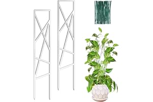 OYOEETD 17.5 Inch Indoor Plant Trellis for Climbing Plants,Plastics Small Garden Trellis for Potted Plants,Plant Stakes for Indoor Plants Accessories,Plant Support Hoya,Flower (Star)