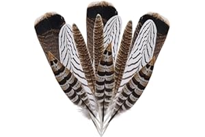 obmwang Lot de 12 plumes de faisan naturelles de 10 à 30 cm, 4 styles de plumes mélangées pour loisirs créatifs, mariage, déc