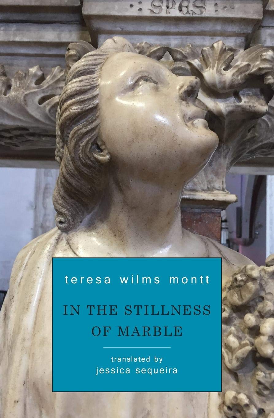 Image result for in the stillness of marble wilms montt
