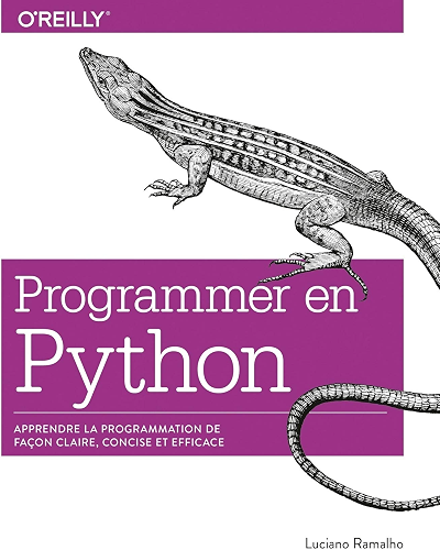 Download Programmer en Python - Apprendre la programmation de façon claire, concise et efficace - collection O'Reilly PDF