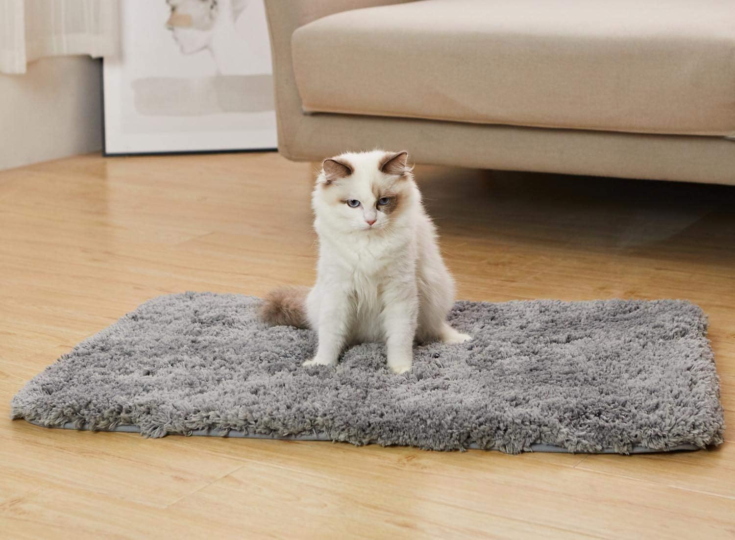 Non Slip Bathroom Rug Luxury Soft Shaggy Bath Mat with Maximum Absorbent, Machine Washable Shower Rug 20" x 32" (Grey)