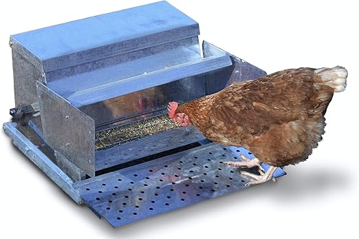 Amazon Com Rentacoop Metallic Treadle Feeder Holds Up To 25