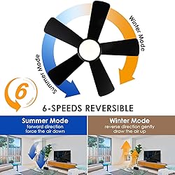 Ceiling Fans with Lights,Modern Low Profile Ceiling