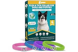 YOTANGO 4 Pack Flea Collar for Dogs, Dog Flea and Tick Collar 8 Months Flea and Tick Treatment Prevention for Dogs, Waterproof Adjustable Dog Flea Collar Natural Tick and Flea Collar for Dogs (4Colors)