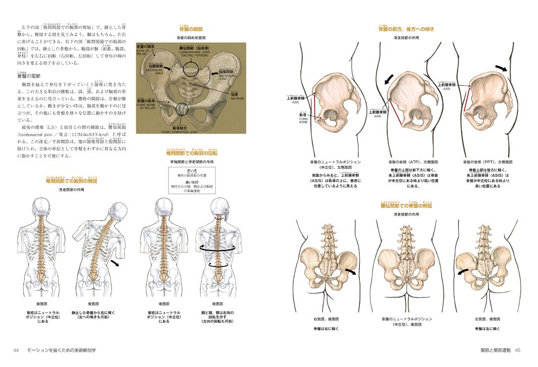 モーションを描くための美術解剖学 ヴァレリー L ウィンスロゥ 宮永美知代 宮永美知代 本 通販 Amazon
