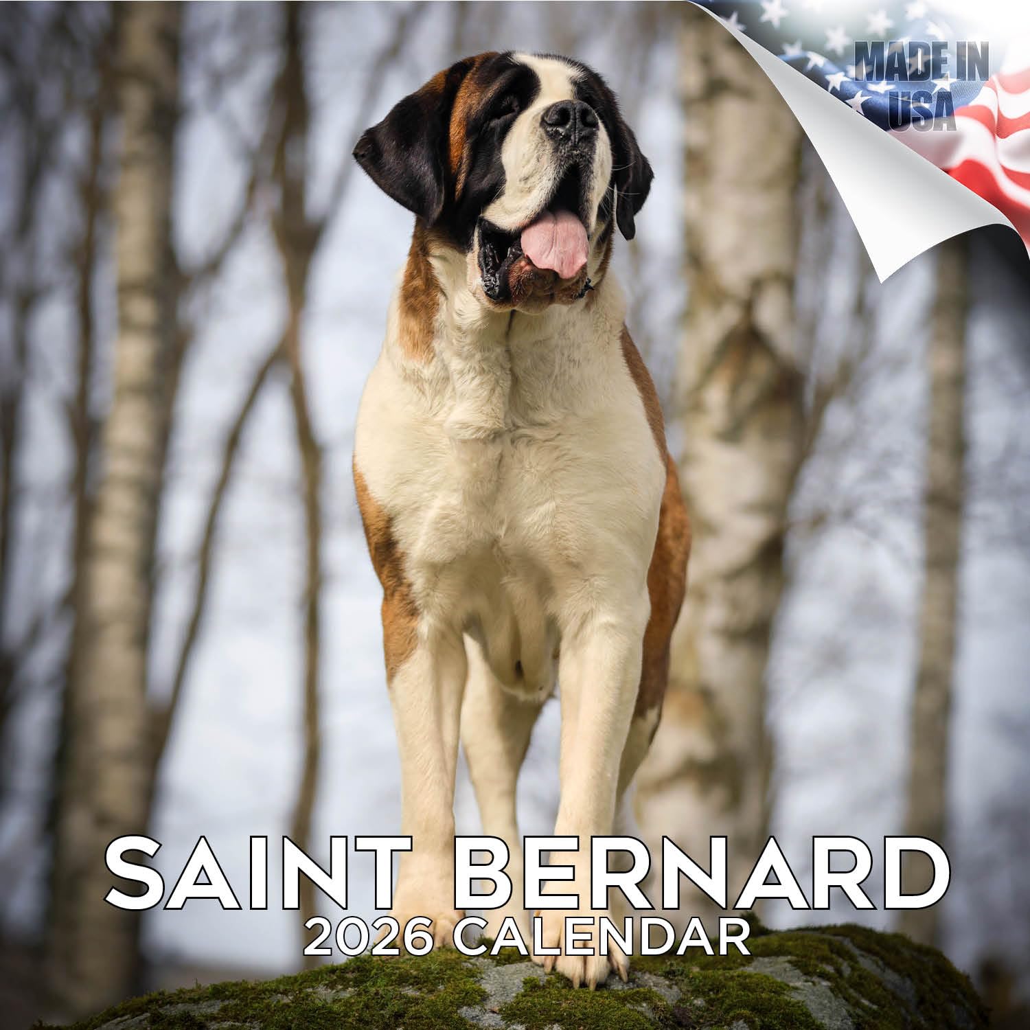 2024 2025 Saint Bernard Calendar - Dog Breed Monthly Wall Calendar - 12 x 24 Open - Thick No-Bleed Paper - Giftable - Academic Teacher's Planner Calendar Organizing & Planning - Made in USA