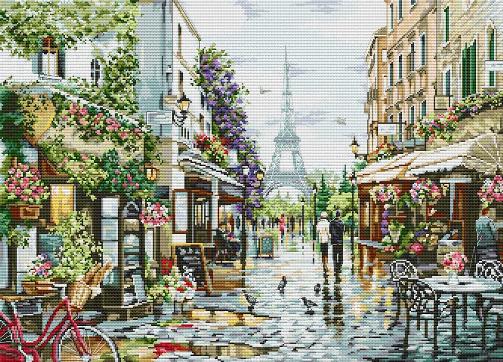 Awesocrafts Cross Stitch Stamped Kits Paris Street Scene Easy Patterns Cross Stitching Embroidery Needlework Kit Supplies 14CT 2 Strands (Street)