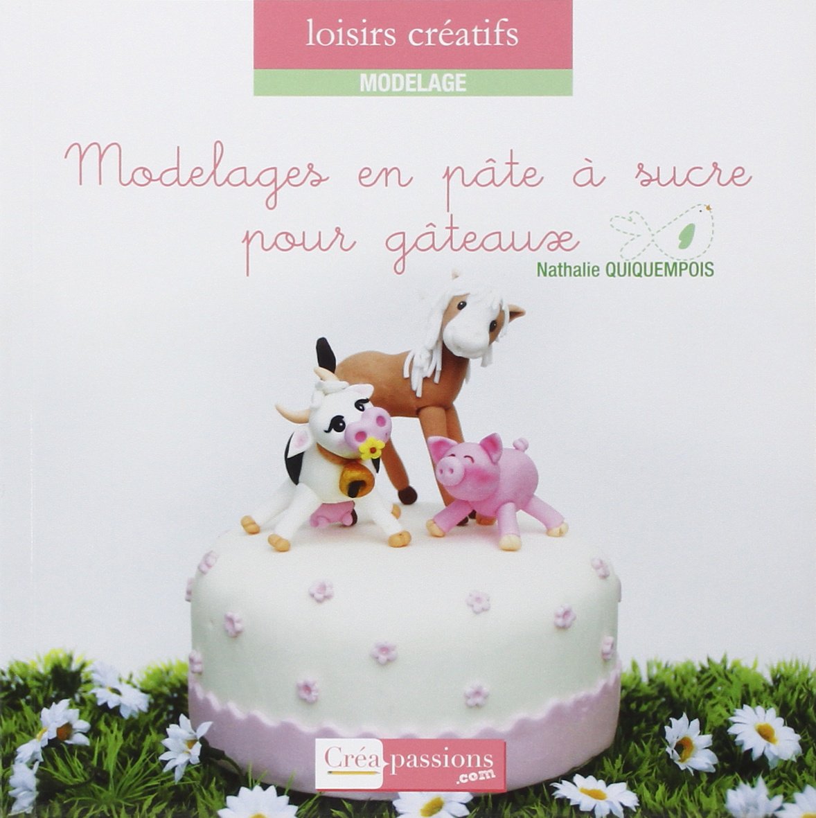 Modelages En Pate A Sucre Pour Gateaux Amazon Com Books