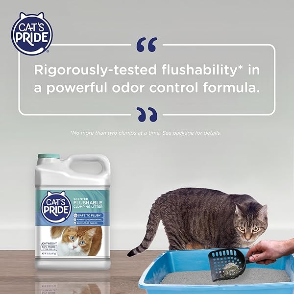 CAT’S PRIDE LIGHTWEIGHT CLUMPING LITTER: FLUSHABLE – POWERFUL ODOR CONTROL – SCENTED, 10 POUNDS