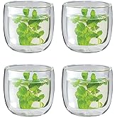 ZWILLING Sorrento 4-pc Double-Wall Glass Tea Cup Set