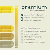 VitaBright Berberine 500mg Capsules 90 Veggie Softgels 98% Berberine HCL view 6