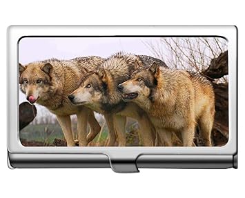 Visitenkartenhalter, Tier Wolf Axt Schutz Kredit Visitenkartenhalter Fall Aufbewahrungsbox