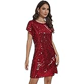 FEMI SEMI Women's Crewneck Sequin Shift Dress Short Sleeve Casual Holiday Sparkly Party Dress