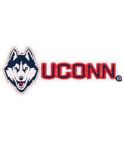 UConn Sticker Desert Cactus UConn University Of Connecticut Sticker ...