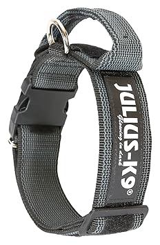 JULIUS-K9, Color & Gray K9-Halsband mit Haltegriff, Sicherheitsverschluss und Logo