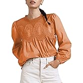STURWBEZ Womens Lace Mesh Flared Blouse Long Sleeve Crew Neck Trendy Floral Embroidered Sheer Lace Poplin Shell Tops