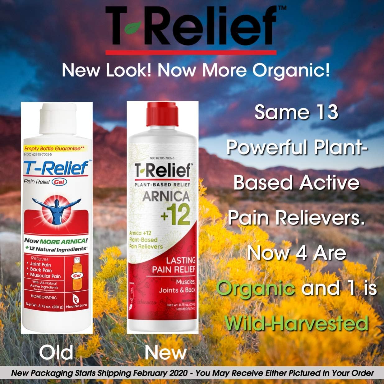 T-Relief Pain Relief Gel to Soothe Minor Joint, Back and Muscular Pain - Homeopathic Formula - 8.75 Ounce: Health & Personal Care
