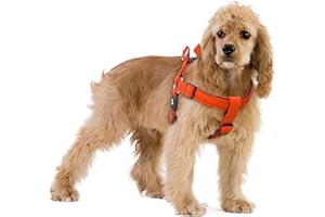 KRUZ PET Kruz No Pull Dog Harness (Chest 21”-30”, Weight 23-53 lbs) Heavy-Duty Pet Harness for Medium Breeds, Ultra-Comfort Fit, Lifetime Durability, Adjustable Dog Harness No Pull Design (Orange, Medium)