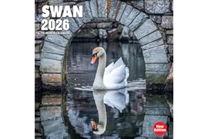 Swan 2026 Calendar: Elegant waterfowl captured in serene lake settings