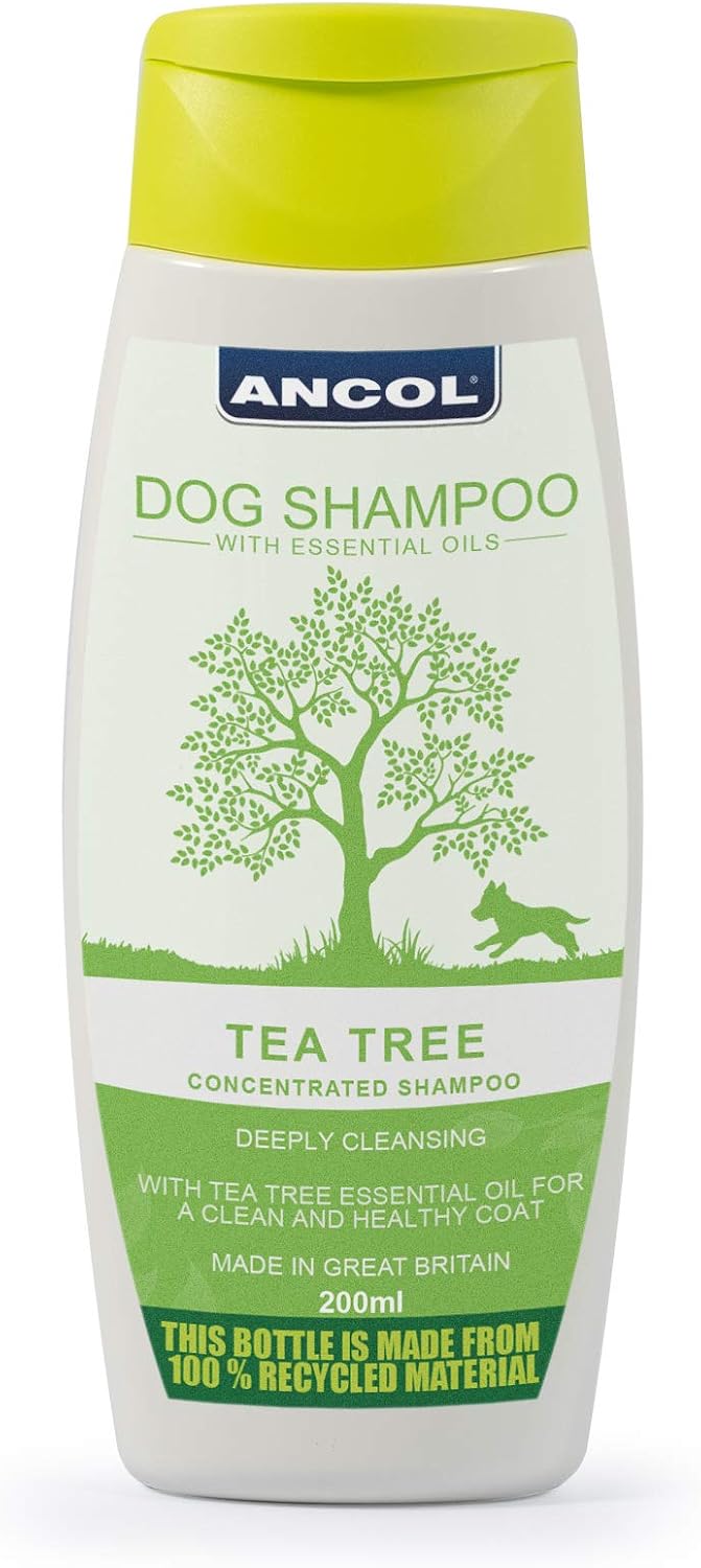 Ancol Tea Tree Dog Shampoo 200 ml, 1 - Pack, 200 ml (Pack of 1)