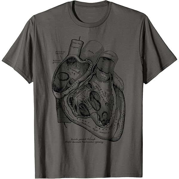 Amazon.com: Vintage Human Anatomy Brain Tee T-tshirt T-Shirt