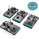 Rat Traps, Set of 4, Best Humane Kill - Rodent Snap Trap That Work,