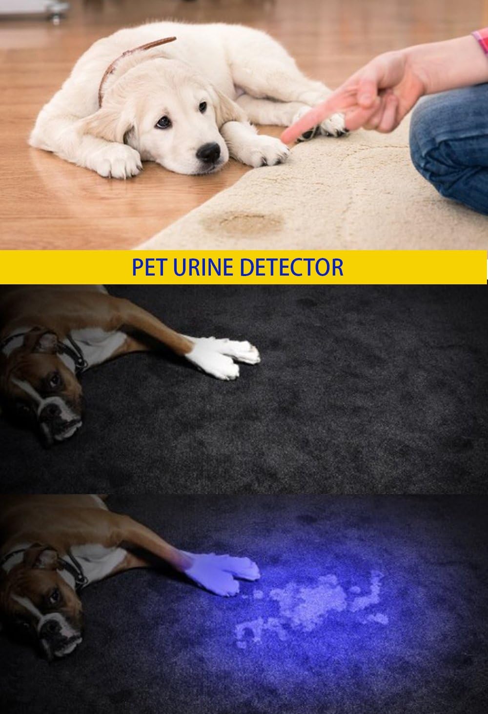 UV Flashlight Black Light 365nm LED Lamp Blacklight Pet Urine Portable