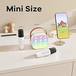 YLL Mini Karaoke Machine for Kids Adults, Portable