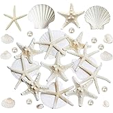 JQAQJU 16PCS Starfish and Scallop Shells for Crafts 3"-4" with Pearls, Natural Sea Shells for Crafting Beach Party Christmas Decor DIY
