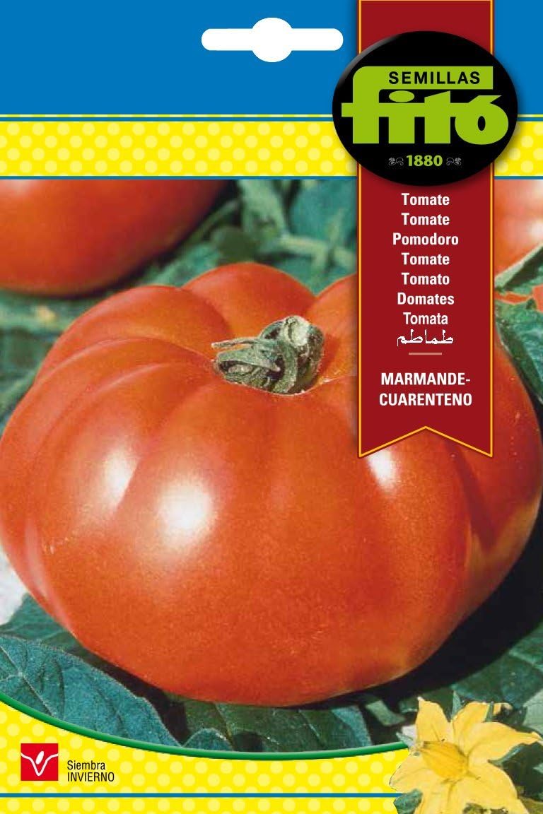 Semillas Fitó 290 - Semillas de Tomate Marmande Cuarenteno: Amazon ...