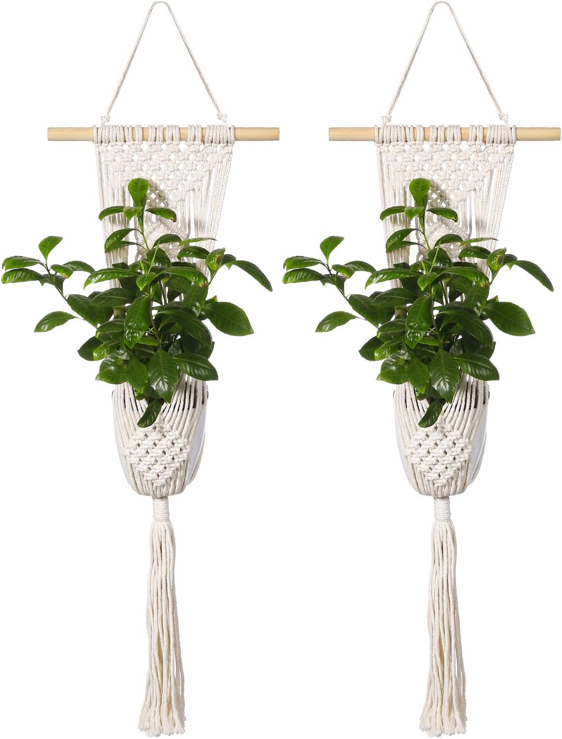 2 Pack Plant Hanger