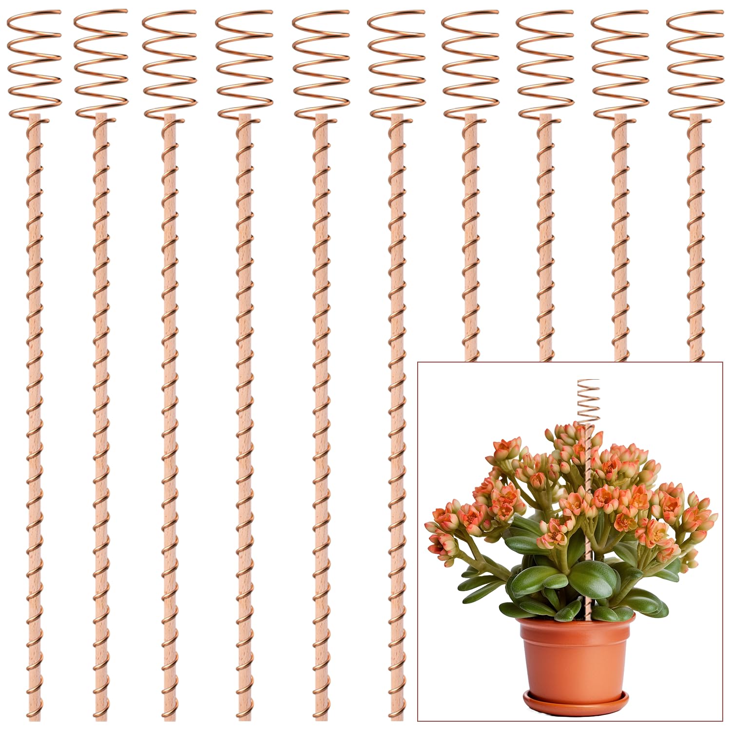 Photo 1 of 10Pack 17" Electroculture Plant Stakes, Electroculture Copper Gardening Antennas, Long Copper Garden Stakes for Plants Fruits Vegetables Growth, Eco-Friendly & High-Yield