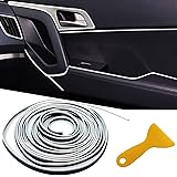 OSIFIT Car Interior Trim Strips,Universal 16.4 ft