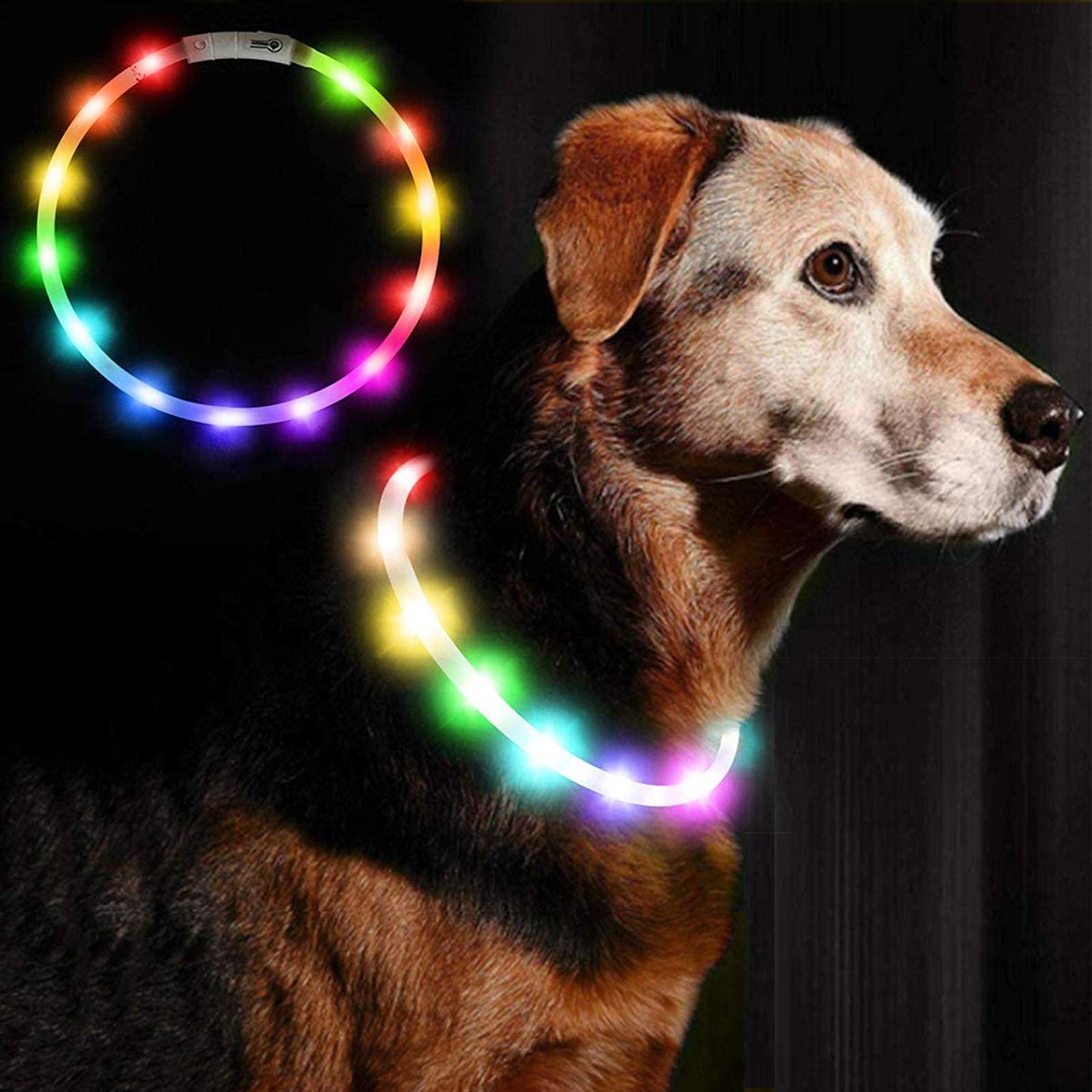Ewolee LED Dog Collar, USB Rechargeable, 2 Light Modes, Adjustable Size, Improves Pet Visibility & Safety, Fits Small to Large Dogs & Cats (Multicolor)